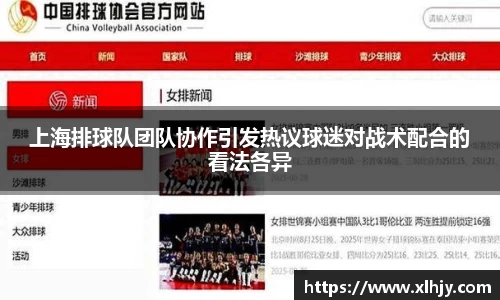 上海排球队团队协作引发热议球迷对战术配合的看法各异